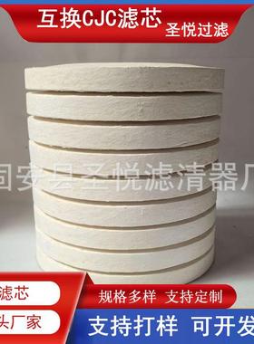 煤矿工程车滤清器PA5601349BGN15/25精细过滤器滤芯