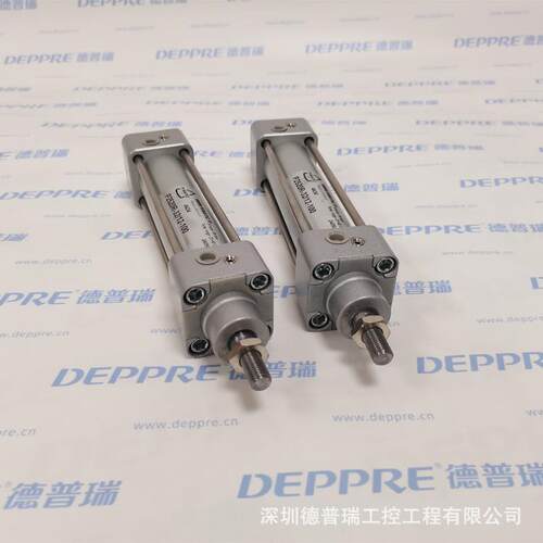 兰1PIMA芬TI2C原装进口气缸P2520R-31无品牌/2-00
