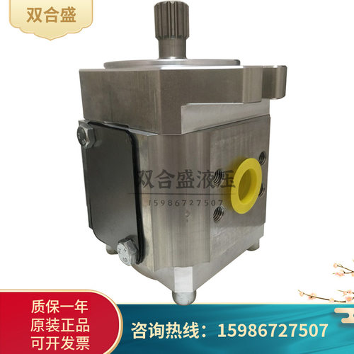 艾可勒齿轮泵EIPC5-80/100RA23-105-80/100RK23-10高压齿轮泵