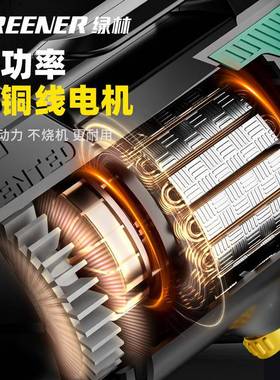 绿林冲击钻家用小电功锤40783墙多功型能打孔打手电钻有线大率电