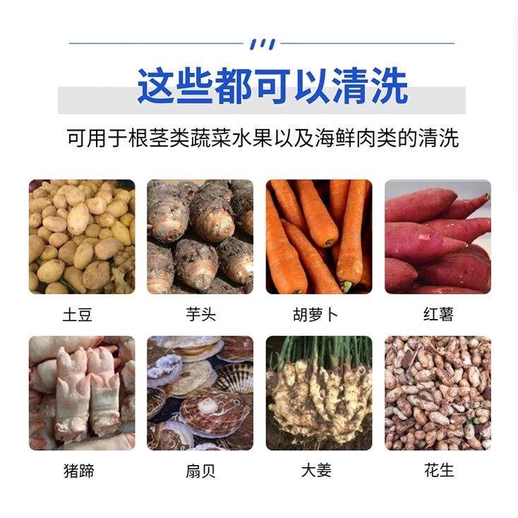 洗花生蹄大萝卜机器土豆马魔芋毛刷去皮机型芥73266菜莲辊藕姜毛
