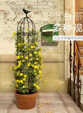 花架XSA花爬花藤架月季蔷薇阳台架子盆植物藤花园柱园艺攀架爬花