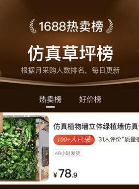 真植物墙仿头1平方庆46295造景装饰婚室内门园林装饰草坪