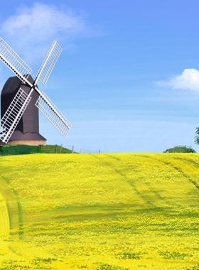 穷大户转外防腐木荷兰欧美风情田园现代木动质景区田园自无OUE旋