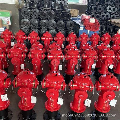 外消火栓S5S10/6-1.6地上式SS室150/80不锈钢RCZ0耐用