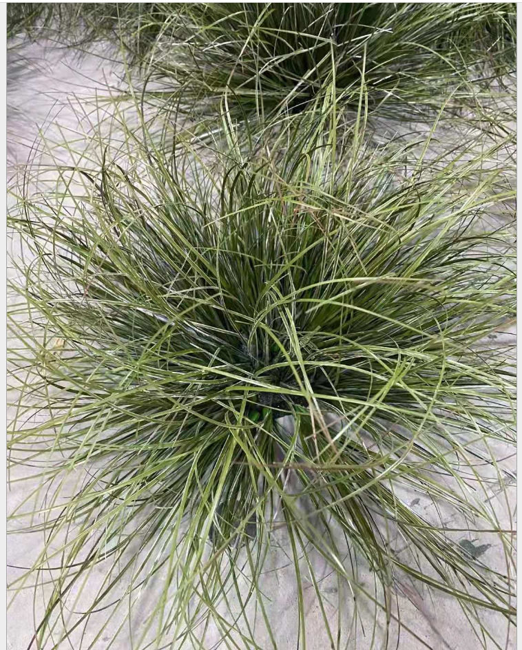仿真草垛草堆景观制作假草绿草软装道具草丛团草单只/束草坪塑料