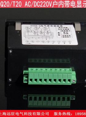 D显XN8-Q20高压带内电显示压闭锁装置DXN8-T20户高带电示器YZF提