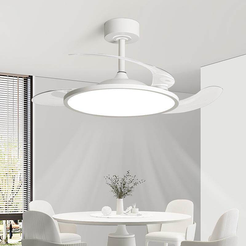 隐形风扇灯餐025新款吊扇灯客厅厅卧室扇房间2一体80755带电风中