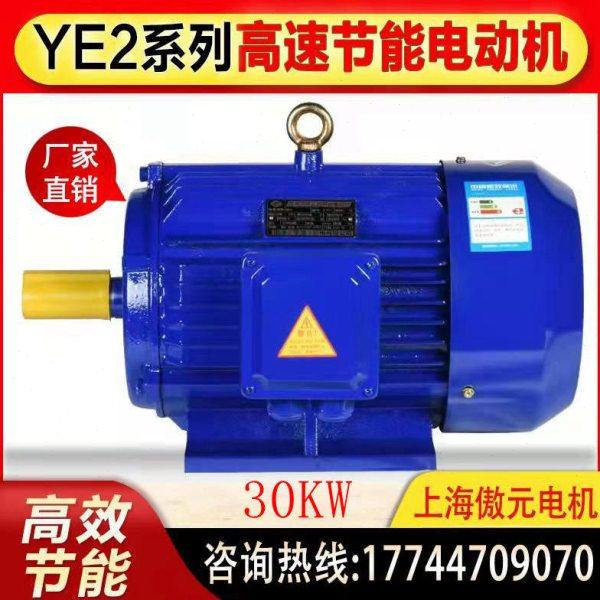 三相异步电动机30KW-2级-4级-6级-8级交流380V电机马达全新铜芯,五金/工具,电动机,淘宝优惠券,粉丝福利购,淘宝优惠卷