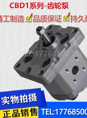 CBD1-F204.2/F201.3/F201.6/F202.7/F203.2/CBD1-F205.8齿轮油泵
