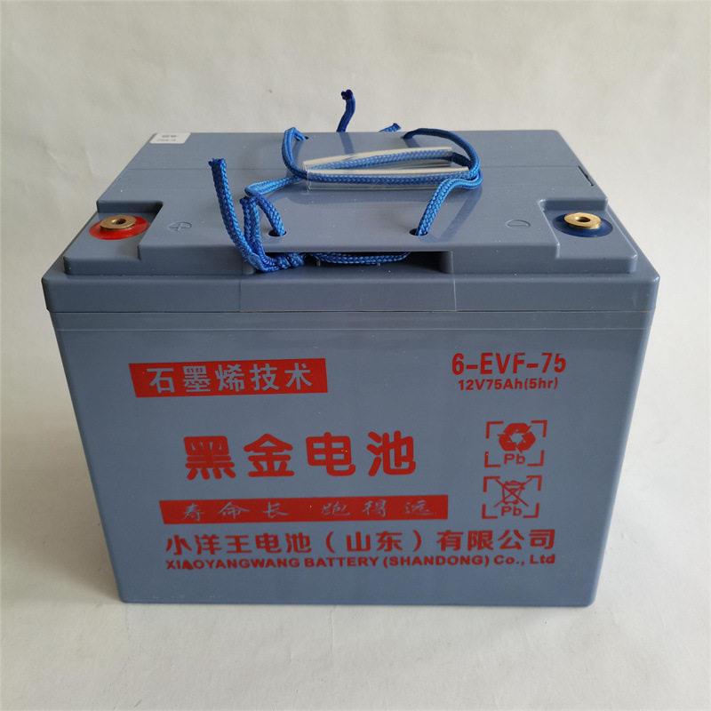 小洋王黑金6-EVF-75、85、110新能源电池清洁设备电动三轮四轮车