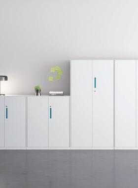 文5384件柜衣制铁皮办公钢室资料档案柜带锁储物柜柜更柜带抽屉简