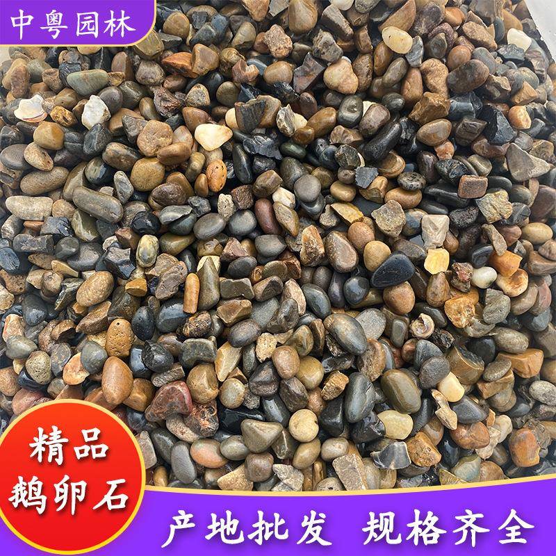 五彩鹅卵石然站鹅软石景观天石变水处理鹅鹅卵石02卵石压鹅卵石铺