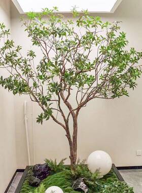 仿真树绿假树造景植物装店室内橱窗服装植景观布置饭厅tb-74218植