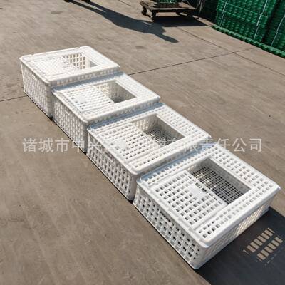 淘汰笼EJH塑装鸭笼子鸡料鸭笼大号鹅筐