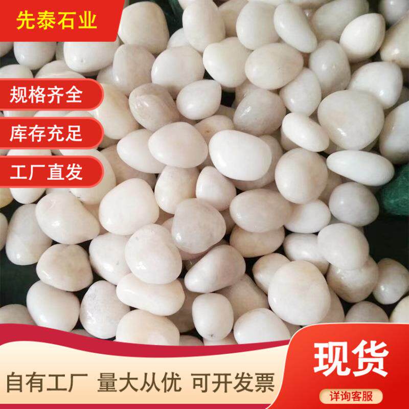 饰白色鹅卵石工程铺路林园造景盆栽1023鱼缸花水培装阳台造景雨石