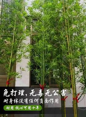 竹子室内装饰竹子假隔断风挡F768TSHS墙造景室外装竺饰屏盆栽加密