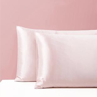 9姆米双面真丝枕28439套套纯气色简约真丝枕芯舒适透桑1蚕丝绸枕