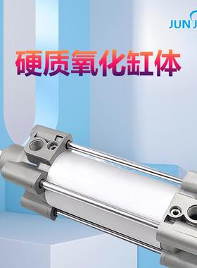 标准气缸C96/CP916SDB40-2550/75/100/125NZZ/0//175C-W5厂家直发