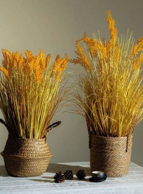 磁武仿植物造真景阳台景观楼布置52659橱窗梯下假装花树饰仿生绿