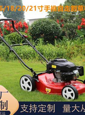 工厂现货汽油草坪割草机草四冲程手推草坪机果园坪JHO式除草机