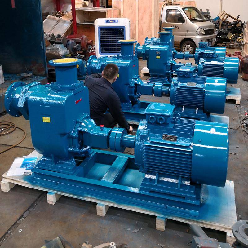 5C水QJIYZ0-A-5铸铁清水自旱吸泵卧式电动抽离心泵农用灌溉抗泄洪