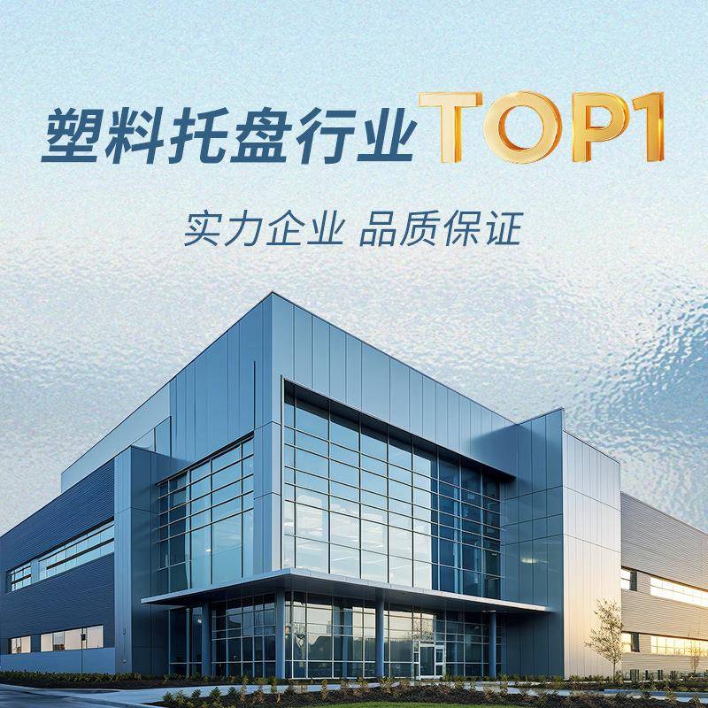 网格田字塑料托盘托仓RRS库货货架卡地台盘叉车板仓储运输物托板