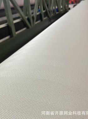 带式压机网带1滤6903污泥脱水滤布果汁压66045榨网尾矿干排002A滤