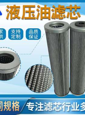 厂家替代英德诺曼滤芯 300200  润滑站油滤芯01.E320.10VG.16.E.P