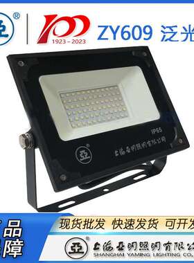 上海亚明照明LED投光灯ZY609 100W广告泛光灯200W户外防水灯