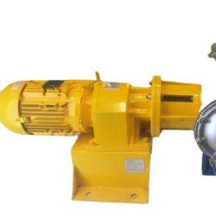 EEXE 13C 斯凯力电动隔膜泵E25 BV0 skyilnk正品