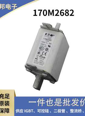 170M7666 170M7671 170M7676 170M7978原盒陶瓷熔断器 保险丝