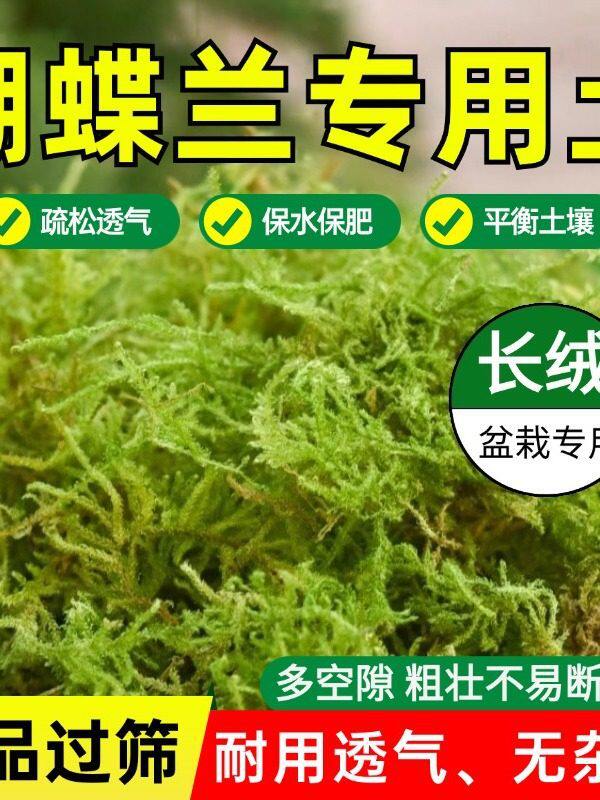 青苔水苔蝴蝶兰土天然干苔藓兰花营养土石斛兰植料盆栽种植土