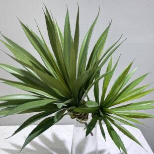 仿真剑兰龙铁杆-剑兰盆栽假植王舌肉冠绿多剑麻树造景植物人造热