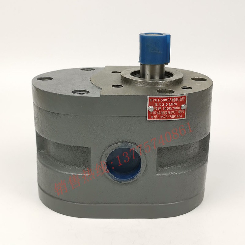 HY01-100X25齿轮油泵7025 50A25 M7130/M7140磨床液压泵100*2