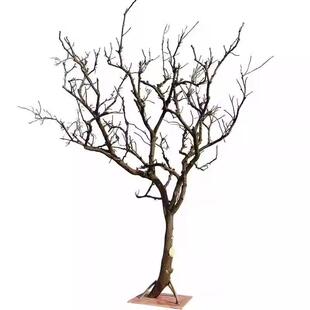 干树枝干枝树干009树色枯树白树枝摆件杆仿真树枝假树造型树枝装