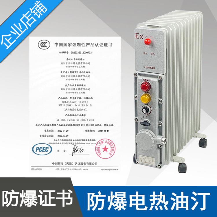 BDN58-2000W11片220V防爆电热油汀功率2KW隔爆型密闭式电热油汀