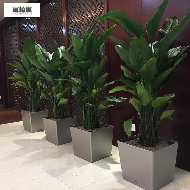 宜植堂简约方形特大号烤漆自动吸水花盆客厅发财树懒人花盆塑料