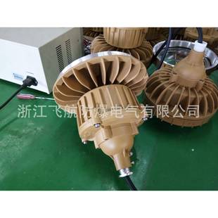 BAD54增安型防爆灯 防爆灯 BAD53防爆灯