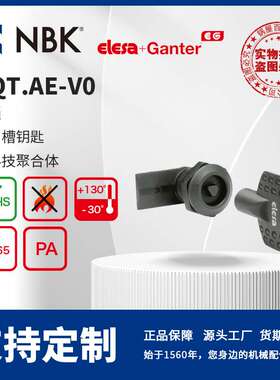 NBK ELESA CQT.AE-V0 闩锁带凹槽钥匙 高科技聚合体 机械配件厂家