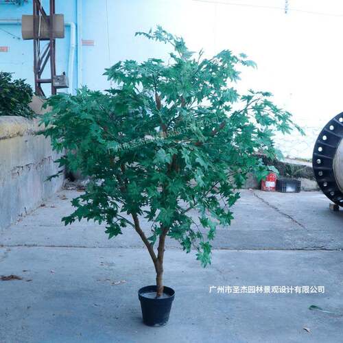 仿真绿枫树仿真绿植适用酒店婚庆布景装饰摆件造景厂家直销假绿植