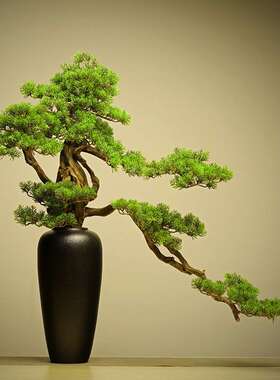 新中式仿真迎客松盆景枯山水绿植植物家居室内松树软装装饰品突贸