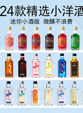 便利店小酒50ml酒调酒套装