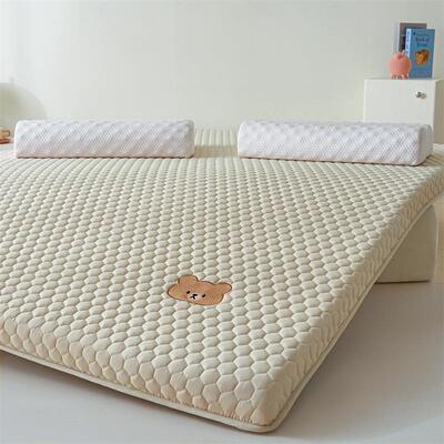 A类大纤维人床垫海垫子学生宿舍单软垫打ZJF42686绵地铺睡垫租房