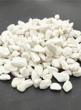 白色子园林铺垫路庭院装饰石白色石子CLX枯山造景白色砾石子脚水