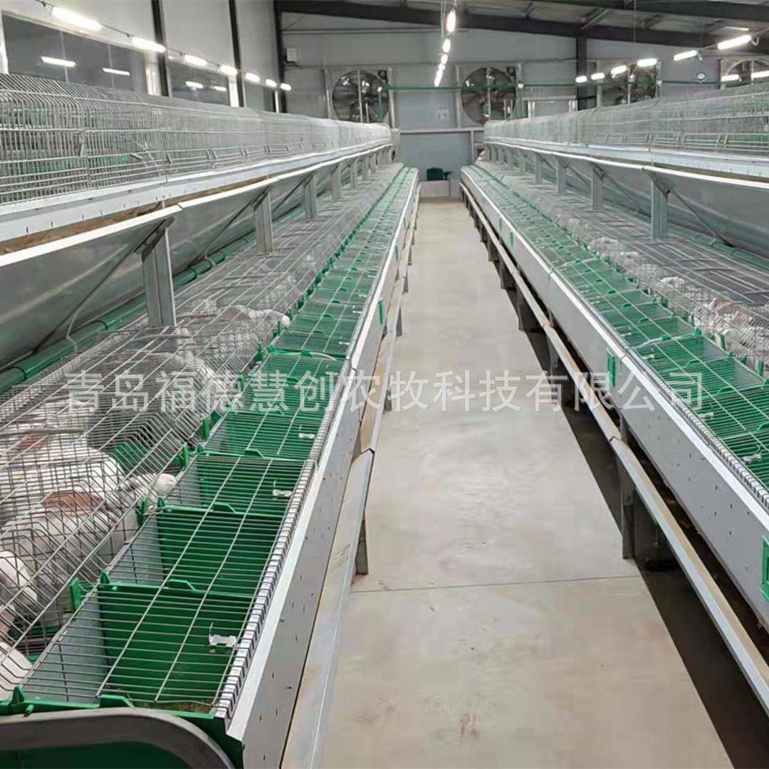 动喂料兔笼种自zs-01兔繁育养殖设备层欧式双兔笼