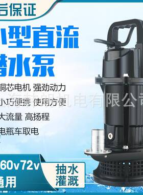 小型直流潜水泵48V60V7V便轻小2巧电动泵水农用ECD灌溉浇地直流水