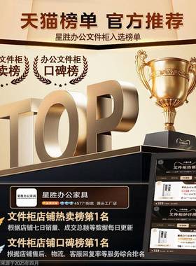 钢储制办公室铁锁皮文件柜财务资料柜S23131档案柜带凭证柜抽屉矮