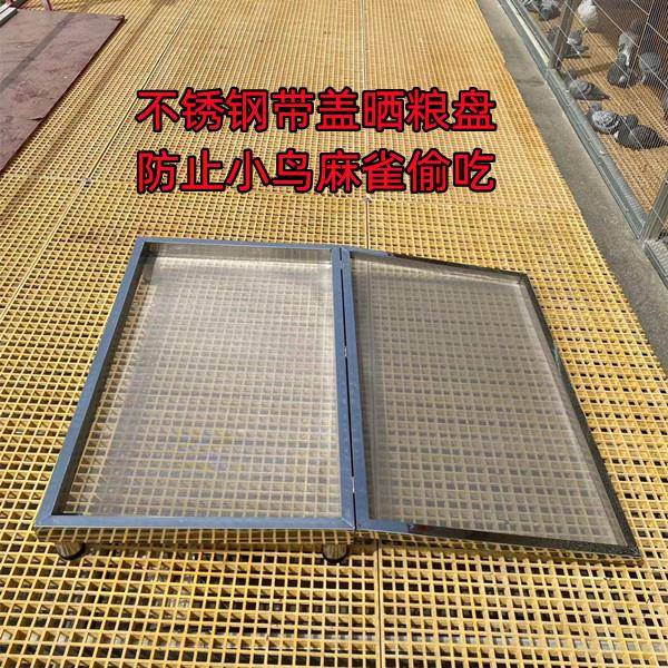 鸽子用品用具不锈钢晒粮盘洗粮筛带盖带腿晒粮盘防止鸟偷吃晒粮床