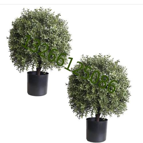 仿真黄杨木盆栽欧式人造植物庭院落地摆件螺旋树真植物